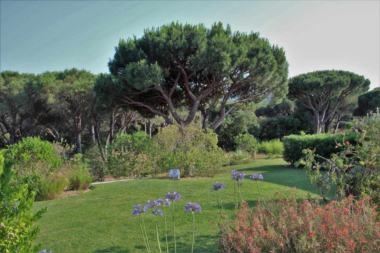 Appartement Les Pins Bleus A8 Sainte-Maxime Eksteriør bilde